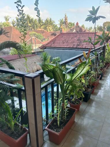 Grace Paradise Guest House Lembongan Eksteriør billede